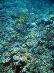 055 Great Barrier Reef